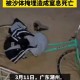 大学生宿舍窒息死亡,住宿舍，一小伙脚臭的让人窒息。能中毒！😬😬该怎么办？