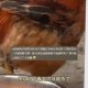 多要一块鸡肉被刺死,冬天鸡杀了能放多久？