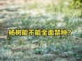 农户杨树被禁止砍伐,法律规定农村杨树必须要砍伐吗？