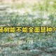 农户杨树被禁止砍伐,法律规定农村杨树必须要砍伐吗？