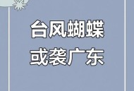 台风蝴蝶广东再登陆,台湾的蝴蝶有多少只？