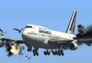 客机空中与鸟群相撞,