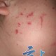 8岁女童被车撞身亡,南阳8岁小学生下校车后过马路被撞身亡，谁该担责？