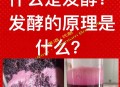 酿葡萄酒放气时爆炸,自酿葡萄酒如何自动放气？
