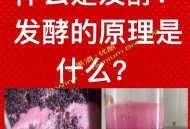 酿葡萄酒放气时爆炸,自酿葡萄酒如何自动放气？