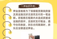 退租因2根猫毛被扣钱,租客退房一屋子猫毛怎么办？