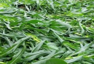 每户发5万受灾津贴,暴雨受灾补助能补贴多少？