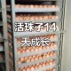 3箱活珠子孵出小鸡,活珠子用多少温度孵化？