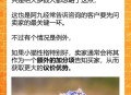 主人欠钱猫被拍卖,怎么拍卖猫咪？