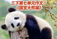 大熊猫高高去世,大熊猫高高故事？