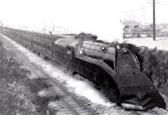 日本地震致51人受伤,日本昭和五十一年的10元硬币价值是多少？