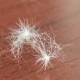 内蒙古满天飞虫,太原满天飞虫是怎么回事?