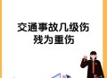 列车上铺跌落砸伤人,睡火车上铺，如果掉下去摔伤或摔死了会是谁的责任？