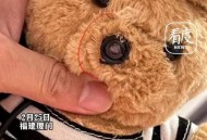 网购玩偶疑有摄像头,网上买的玩偶会有摄像头吗？