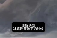 上海冰雹,上海徐汇区下冰雹了吗？