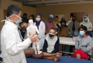 外国人组团学中医,外国人组团学中医好吗