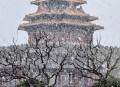 北京的雪下大了,北京的冬天会下多大的雪？