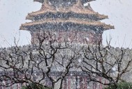 北京的雪下大了,北京的冬天会下多大的雪？