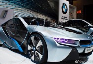 荷兰汽车冲撞人群,谁知道“合球”是什么运动？