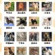 解除禁养中华田园犬,解除禁养中华田园犬的原因