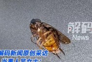 咖啡上撒蟑螂1杯40元,为啥咖啡粉里有蟑螂？