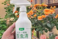员工给蔬菜喷杀虫剂,藿香正气水可以做蔬菜杀虫剂吗？