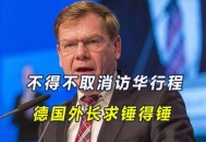 德外长推迟访华行程,外交部驻德国大使