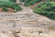 洪涝毁400亩农作物,9月份洪涝对农作物影响？