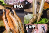 偷玩冰锅被困锅底,