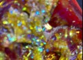 广东发现首例钻石血,广东红派晶钻石瓷砖硬度？