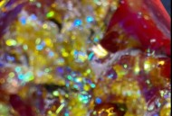 广东发现首例钻石血,广东红派晶钻石瓷砖硬度？