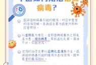 轮状诺如病毒高发期,轮状诺如病毒会自愈吗