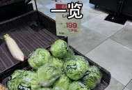 中国输美蔬菜卖日本,中国向日本出口的农产品？