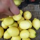 柠檬价格涨了3倍,为什么今年柠檬这么贵？