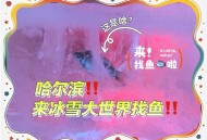 哈尔滨再现冰封鱼,哈尔滨再现冰封鱼事件