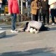 躺街上被碾压身亡,躺街上被碾压身亡视频
