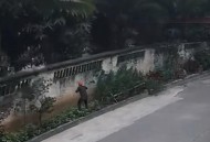 天降花盆砸路人脚边,花盆坠落将人砸死