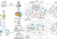 证据右下角有AI生成,ds证据理论基本原理？