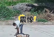 宠物店店员暴力摔狗,宠物店店员暴力摔狗怎么处理