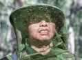 最大蚊子工厂将投产,世界四大蚊虫王国为啥不能消灭？