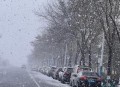 青岛下雪,青岛今天下雪了吗？