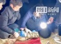 男子徒手爬4楼救人,男子徒手爬4楼救人视频 男子徒手爬4楼救人,男子徒手爬4楼救人视频