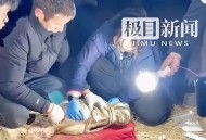 男子徒手爬4楼救人,男子徒手爬4楼救人视频