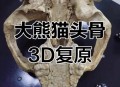 贵州现52具熊猫化石,假如大熊猫和恐龙一样已经灭绝了的话，后人能不能通过化石还原出大熊猫黑白分明的样子呢？