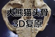贵州现52具熊猫化石,假如大熊猫和恐龙一样已经灭绝了的话，后人能不能通过化石还原出大熊猫黑白分明的样子呢？