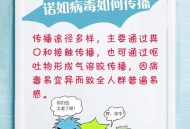 这种病毒也开始高发,进入诺如病毒传染高发季，家长们如何帮助孩子预防？