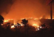 田地突冒火烧1天1夜,火烧耕地的好处与坏处？