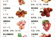 荔枝价格大跌,去年荔枝大丰收，价格持续低迷，今年荔枝大减产，价格如何？