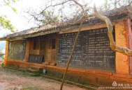 看手机被骡子撞下山,山里人下山方式？