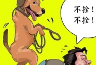 不拴绳遛20多条狗,遛大型犬不拴绳能报警吗？